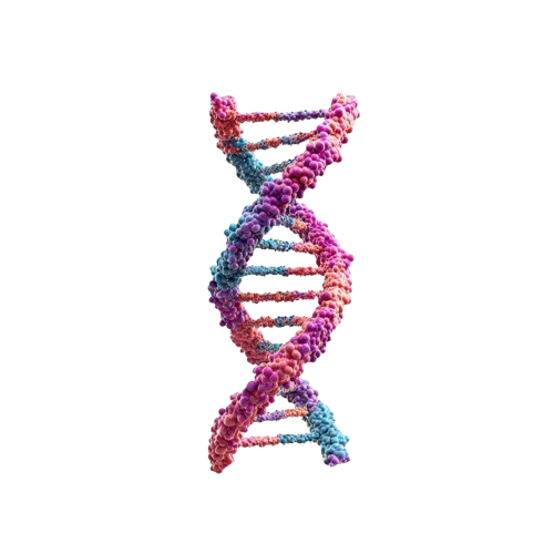 Brand DNA — Compartamos Redes